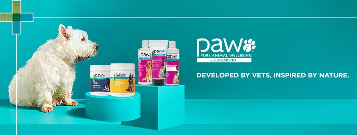 brand promo banner
