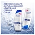 Head & Shoulders Clean & Balanced Anti-Dandruff Shampoo 400ml