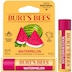 Burts Bees Watermelon Lip Balm 4.25g