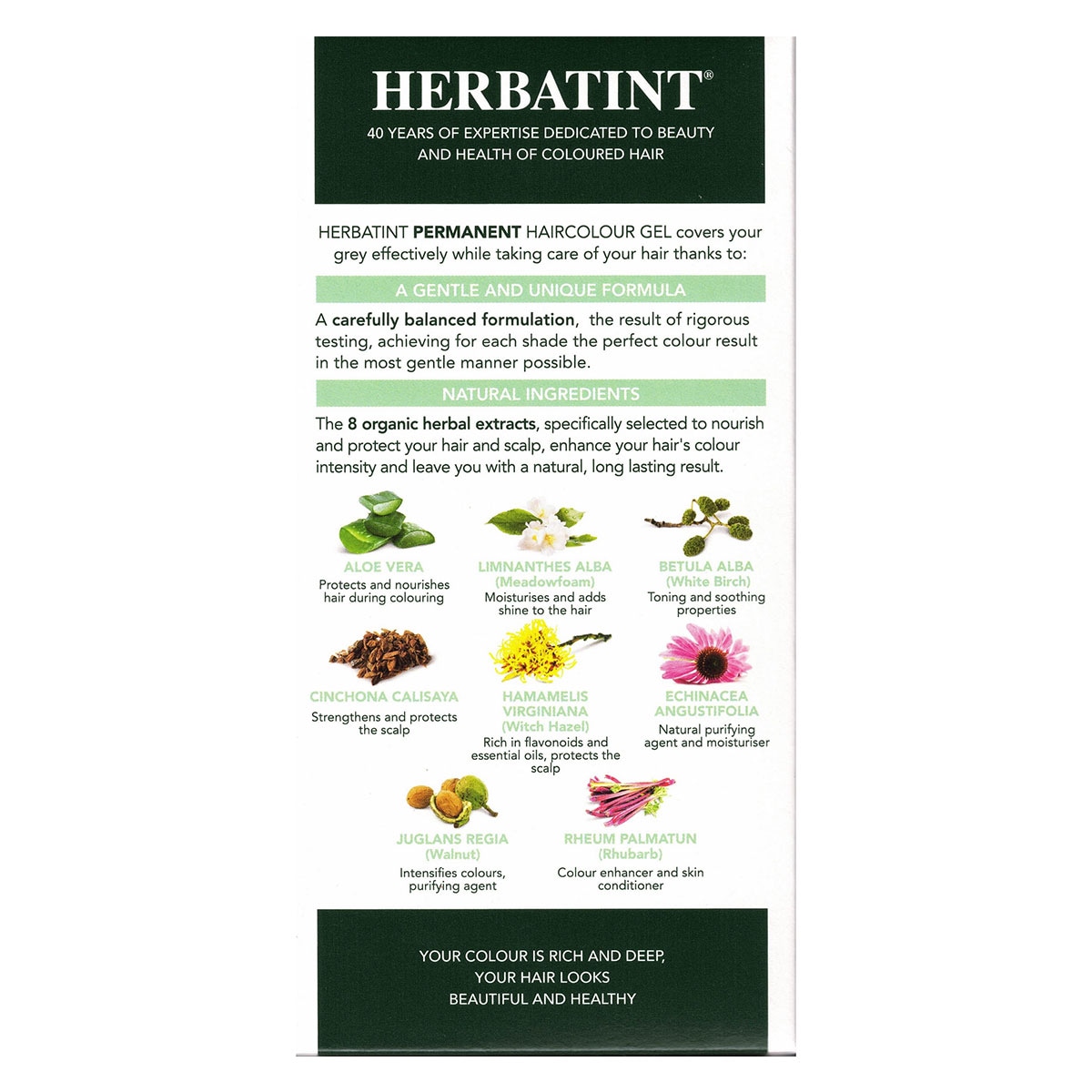 Herbatint Permanent Hair Colour Gel 5N Light Chestnut 150ml