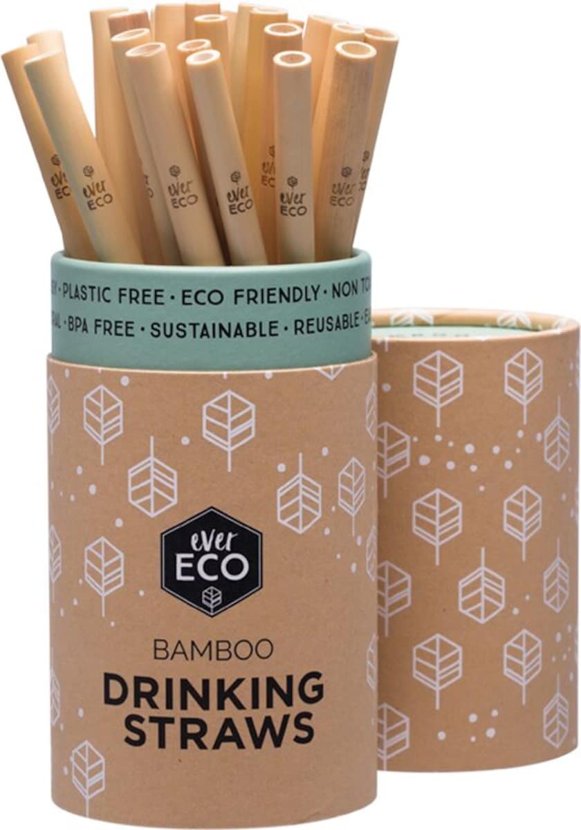 Ever Eco Bamboo Straw Single
