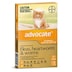 Advocate for Kittens & Small Cats up to 4kg Orange 6 Pack