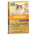 Advocate for Large Cats over 4kg Purple 6 Pack