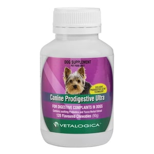 Vetalogica Canine Prodigestive Ultra 120 Chewable tablets