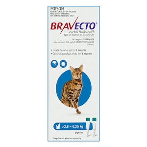 Bravecto Spot-On Cat Blue 2.8 - 6.25kg 250mg 2 Pack