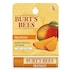 Burts Bees Mango Lip Balm 4.25g