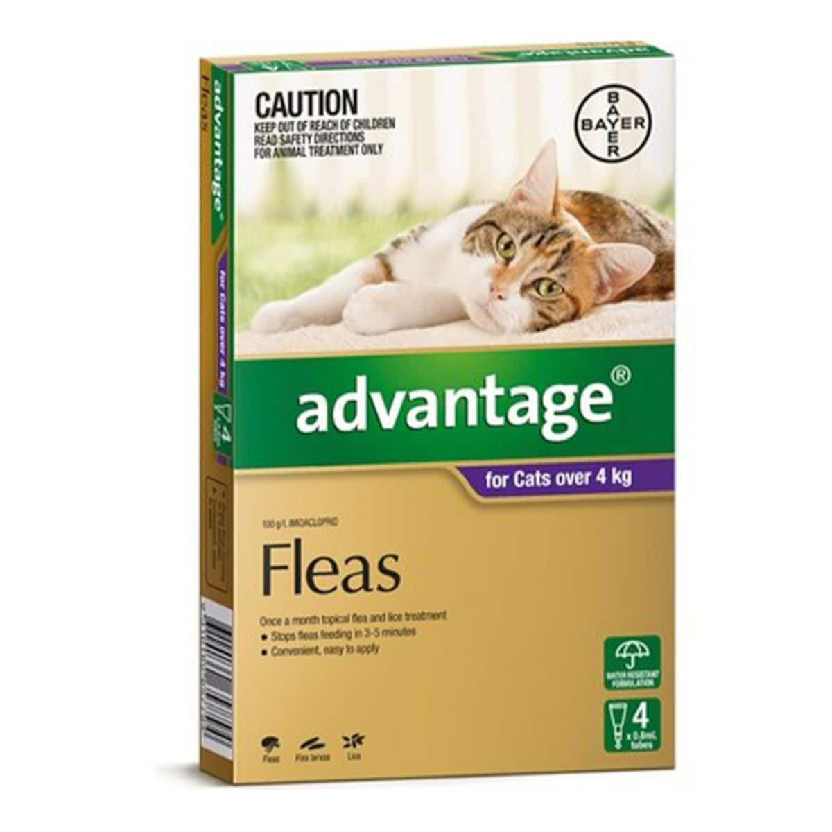 At home 2024 cat flea treatment