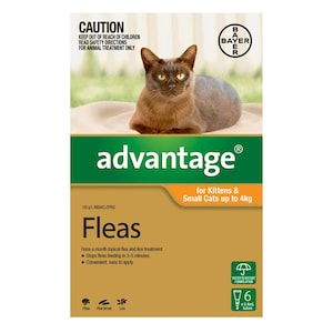 Advantage Kittens & Small Cats up to 4kg 6 Pack (Orange)