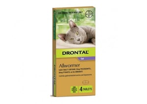 Drontal Allwormer Cat 4 Tablets