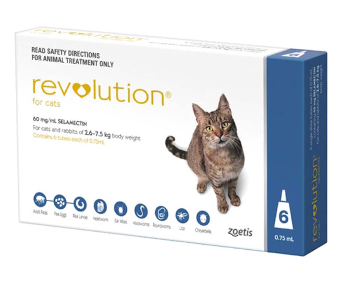 Revolution for Small Cats 2.6-7.5kg Blue 6 Pack