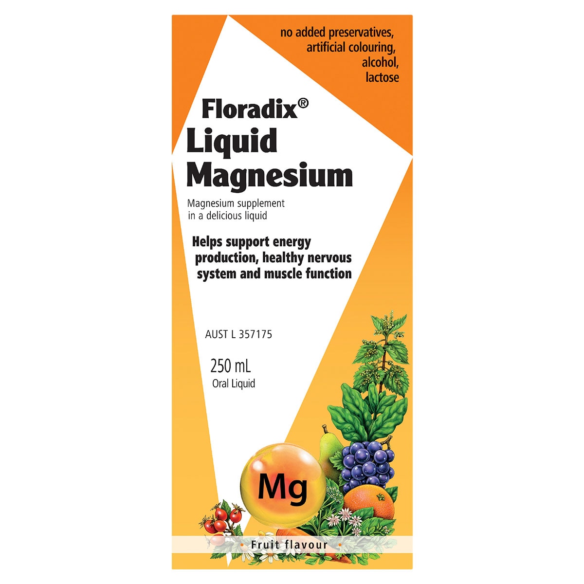 Floradix Liquid Magnesium 250ml | Healthylife