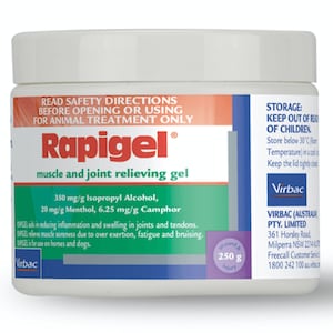Rapigel Muscle & Joint Relieving Gel Jar 250g