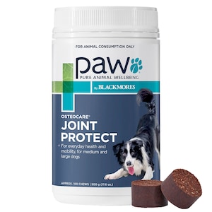 Blackmores PAW Osteocare Joint Health Chews 500g