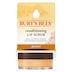 Burts Bees Conditioning Lip Scrub 7.08g