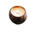 Coconut Bowls Coconut Candle - Tropical Fruit