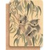 Greenigo Daniella Germain A5 Journal Koala Cuddles