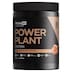 Pranaon Power Plant Protein Himalayan Salted Caramel 500g