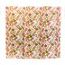 Queen B Beeswax Wraps Mega