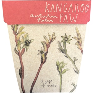 Sow 'n Sow Gift of Seeds Kangaroo Paw