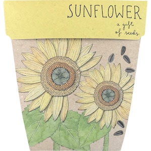 Sow 'n Sow Gift of Seeds Sunflower