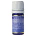 Springfields Essential Oil Clove Bud 5ml