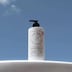 The Base Collective Hand and Body Wash White Tea & Magnesium 500mL