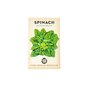 Little Veggie Patch Co Spinach Seeds