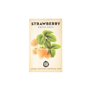 Little Veggie Patch Co Strawberry Seeds