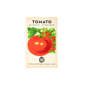 Little Veggie Patch Co Tomato Burnely Surecrop Seeds
