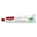 Red Seal Complete Care Mild Mint Toothpaste 100g