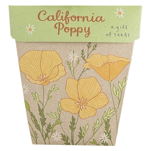 Sow 'n Sow Gift of Seeds California Poppy 1 Pack