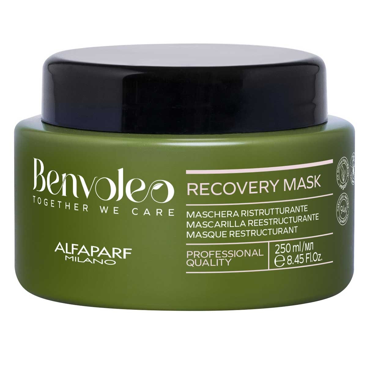 Alfaparf Milano Benvoleo Recovery Hair Mask 250ml