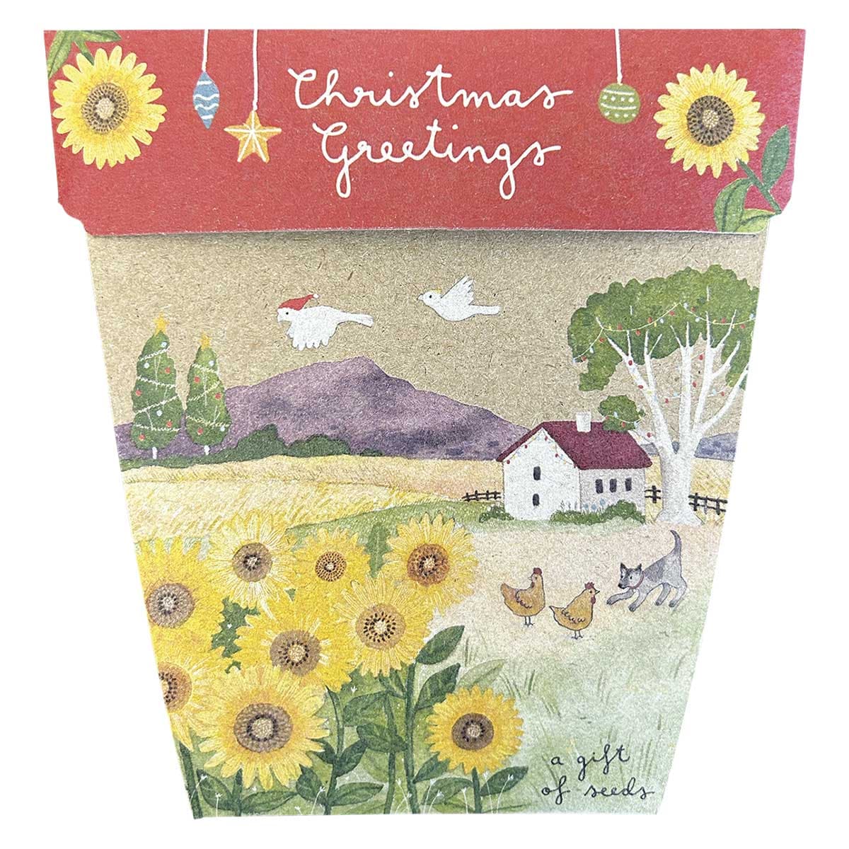 Sow 'n Sow Gift of Seeds Christmas Sunflowers