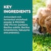 Blackmores PAW Digesticare Probiotic Powder for Dogs and Cats 150g