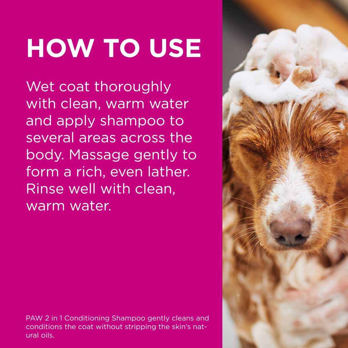 Blackmores PAW 2in1 Conditioning Shampoo 500ml
