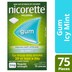 Nicorette Quit Smoking Nicotine Gum 2mg Icy Mint 75 Pack