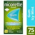 Nicorette Quit Smoking Nicotine Gum 4mg Icy Mint 75 Pack
