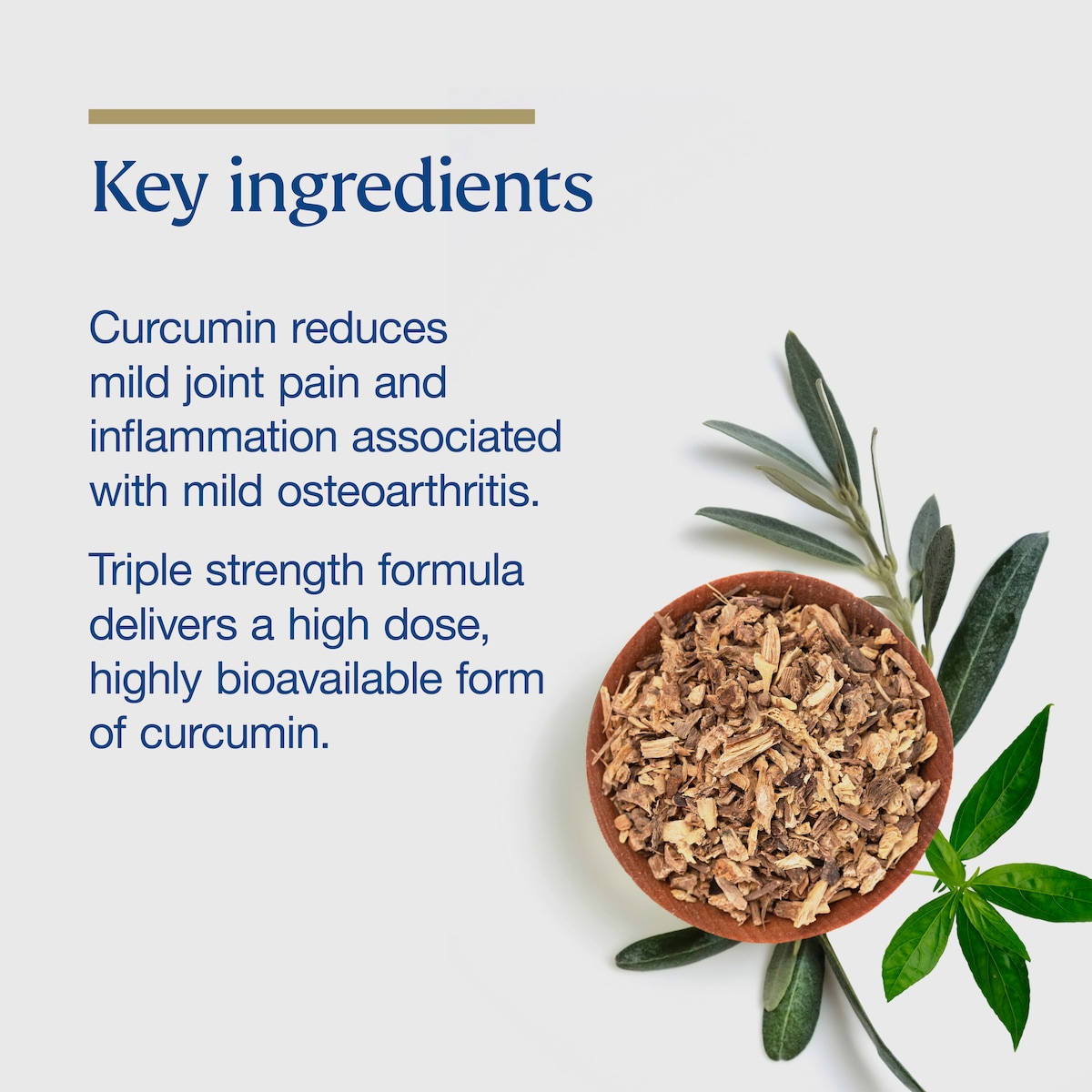 BioCeuticals Theracurmin Triple 60 Capsules
