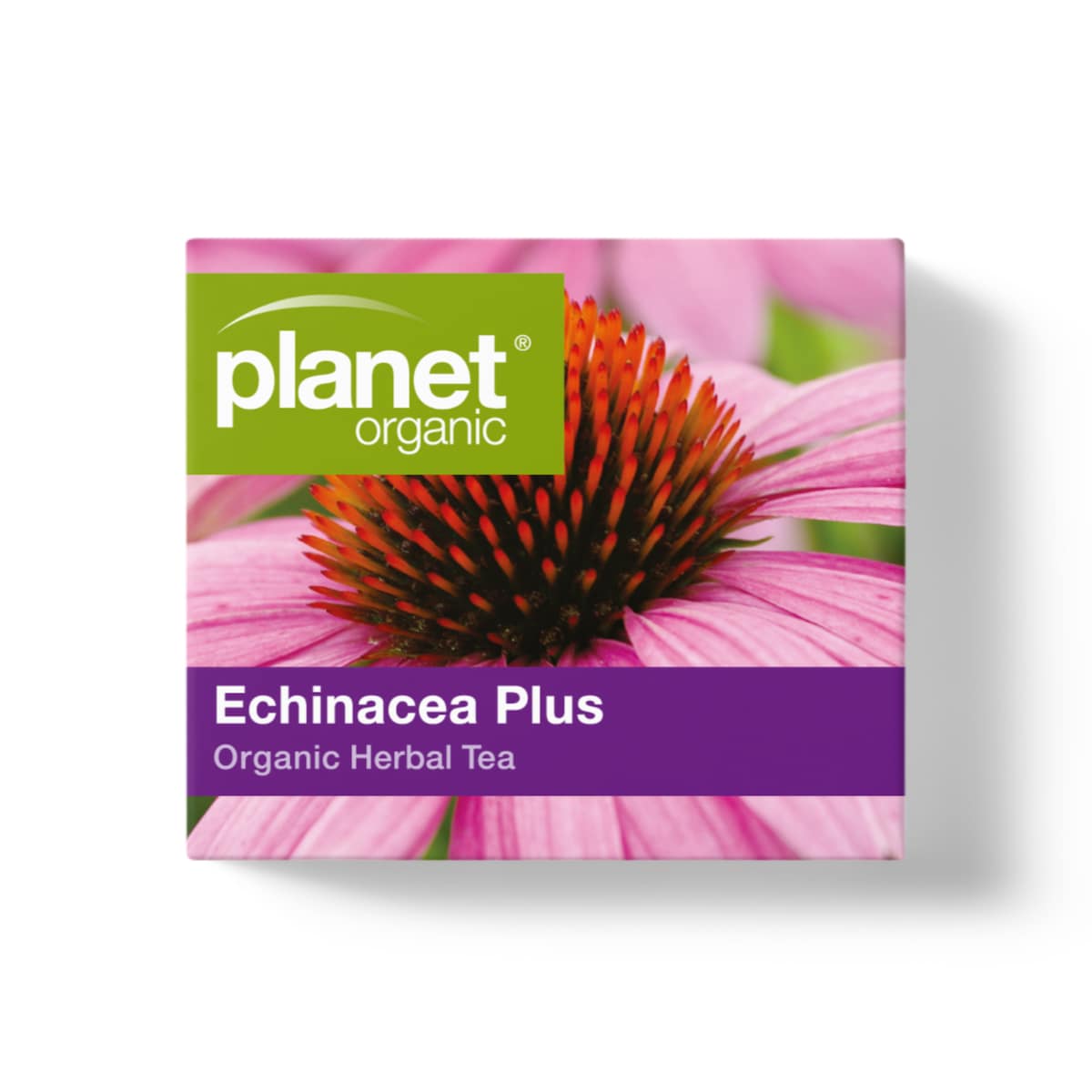 Planet Organic Echinacea Plus Tea 25 Tea Bags