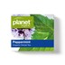 Planet Organic Peppermint Tea 25 Tea Bags