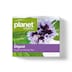 Planet Organic Digest Tea 25 Tea Bags