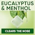 Nestle Soothers Eucalyptus & Menthol Stick 10 Lozenges