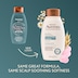 Aveeno Rose Water & Chamomile Shampoo 354ml