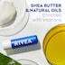 Nivea Original Care Lip Balm 4.8g