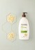 Aveeno Daily Moisturising Body Lotion 532ml