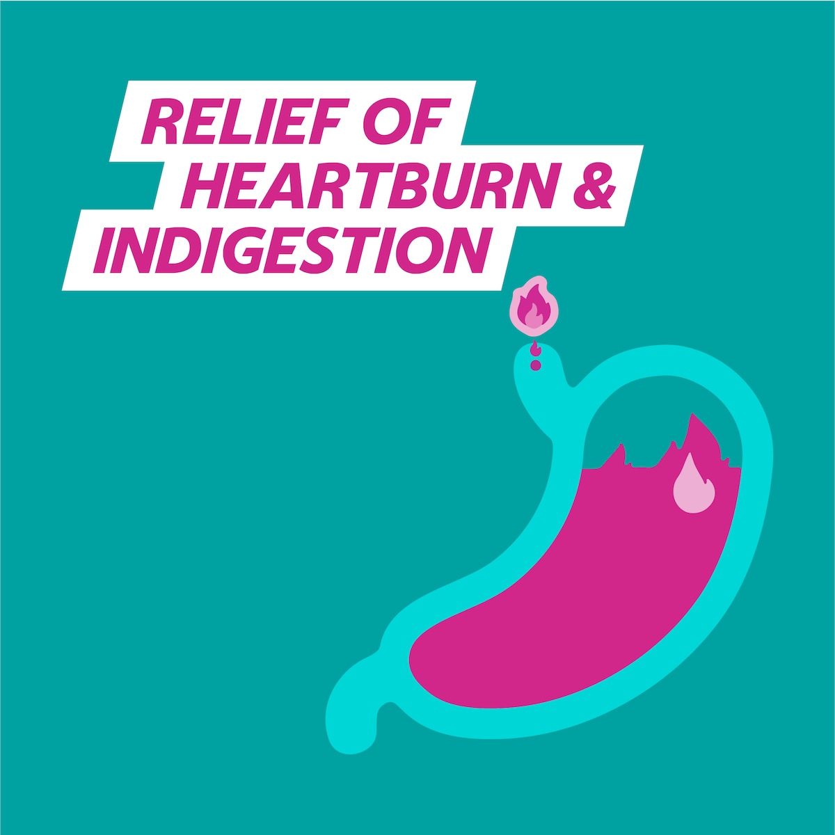 Gaviscon Dual Action Heartburn & Indigestion Mixed Berry 600ml