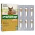 Advantage Kittens & Small Cats up to 4kg 6 Pack (Orange)