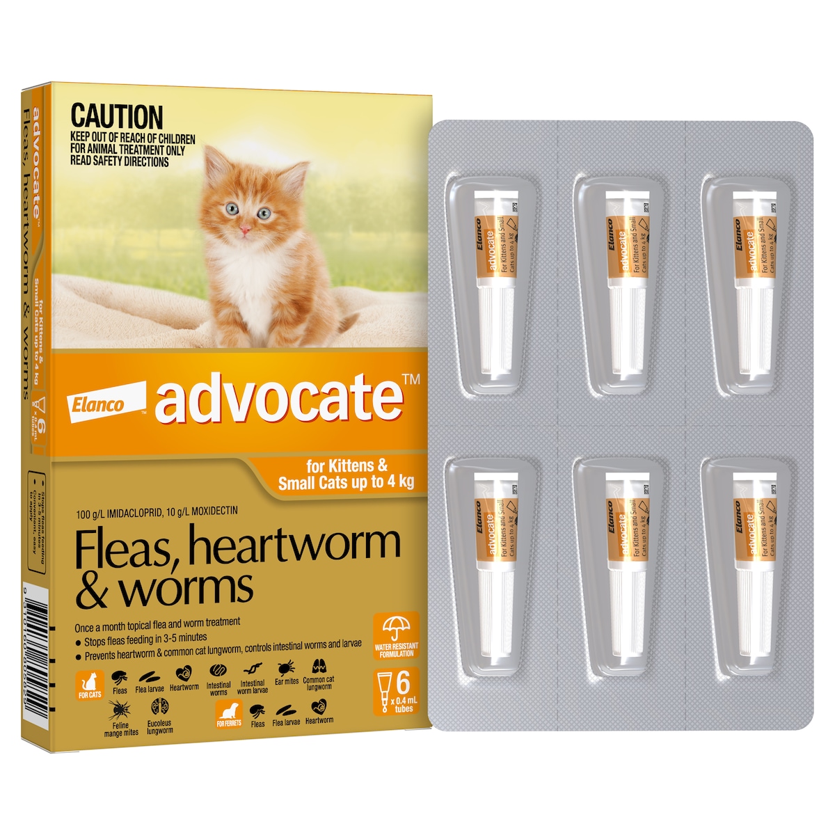 Advocate for Kittens & Small Cats up to 4kg Orange 6 Pack