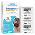 Interceptor Spectrum Blue Large 22-45kg 6 Tasty Chews