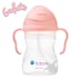 B.Box Sippy Cup Tutti Frutti